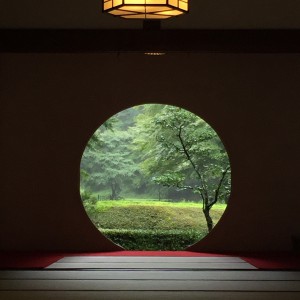 from the round window